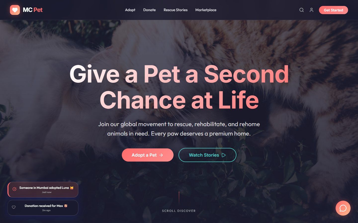MC Pet — Pet adoption that connects animal shelters with loving families